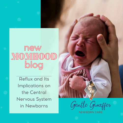 Guest Momhood Blogger Erin shares: Reflux and Its Implications on the Central Nervous System in Newborns