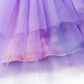 Rainbow Tutu Dress